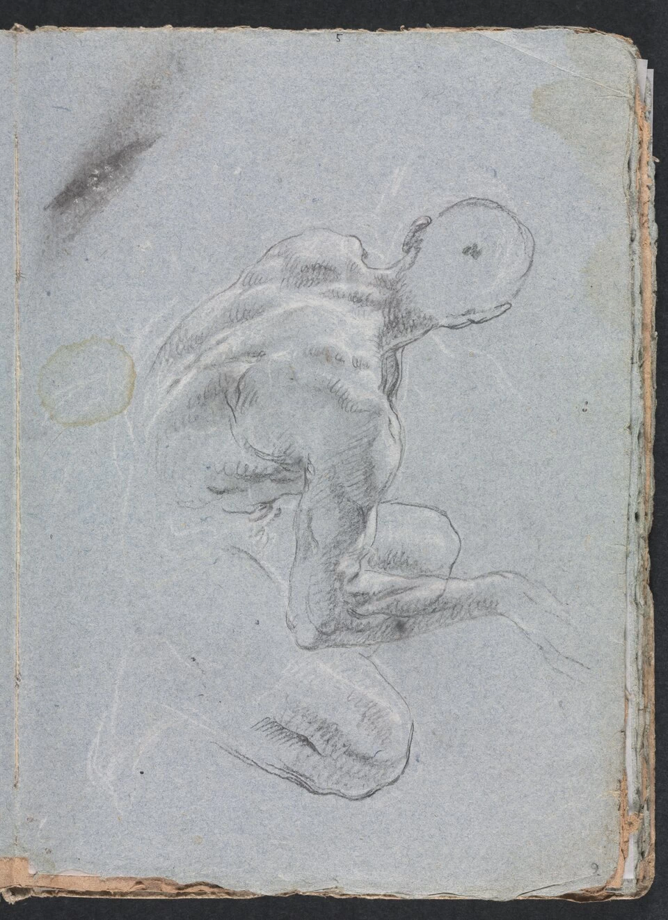 Uomo nudo visto di spalle - Cleveland Museum of Art